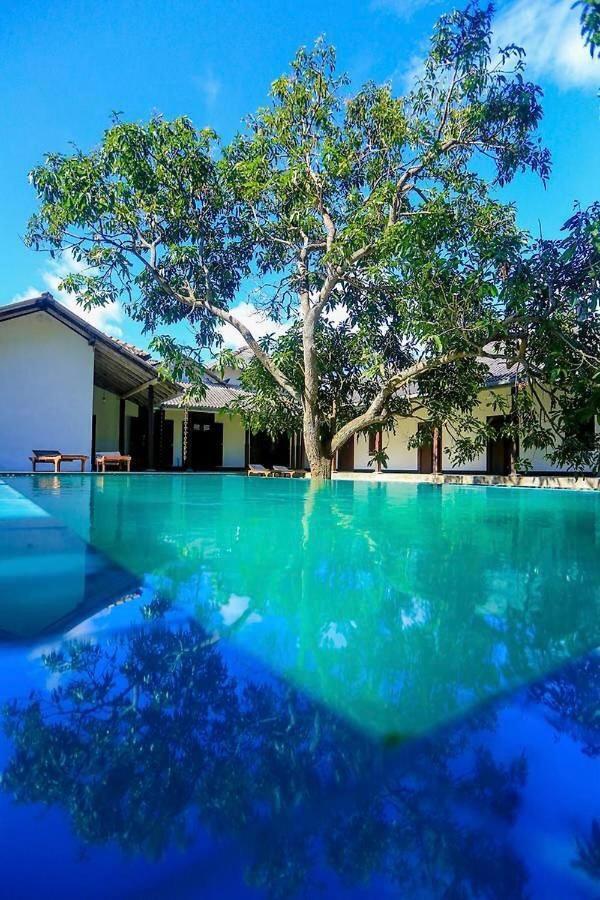 Stuart House Tangalle Zewnętrze zdjęcie