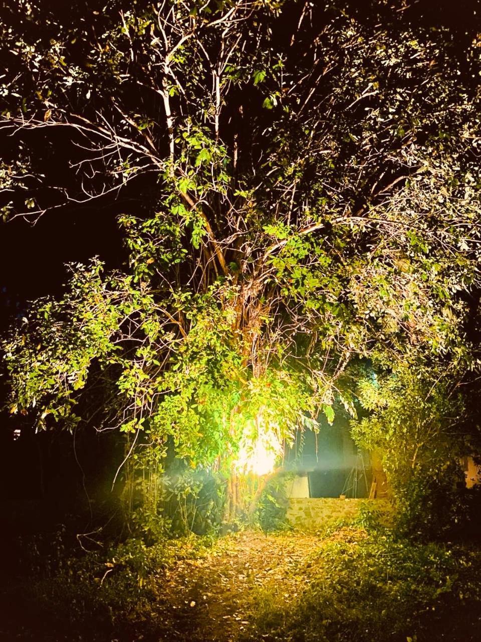 Stuart House Tangalle Zewnętrze zdjęcie